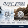 Lab Grown Diamonds vs Natural Diamonds: What You Need to Know