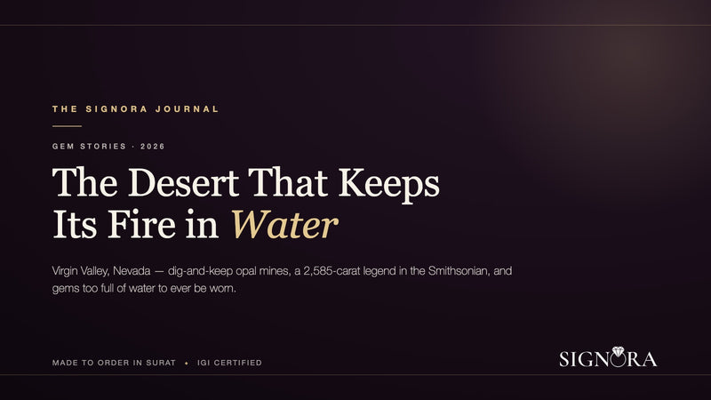 Nevada's Virgin Valley: Black Fire Opal in the American Desert