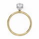 Hidden Halo Oval Diamond Solitaire Ring with Cathedral Gallery