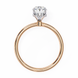 Hidden Halo Oval Diamond Solitaire Ring with Cathedral Gallery