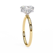 Hidden Halo Oval Diamond Solitaire Ring with Cathedral Gallery