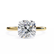 Classic Cushion Cut Hidden Halo Ring