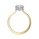 Classic Cushion Cut Hidden Halo Ring