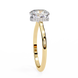 Classic Cushion Cut Hidden Halo Ring