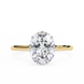 Oval Hidden Halo Diamond Ring