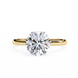 Round Hidden Halo Diamond Ring