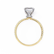 Radiant Cut Pavé Engagement Ring 