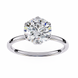 Diamond ring on a white background