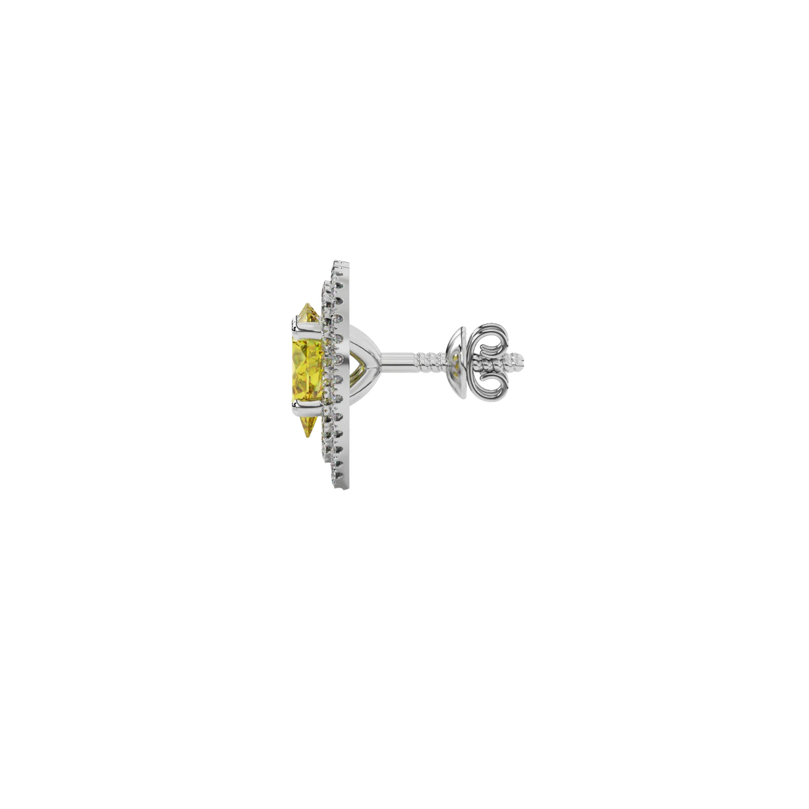 Side profile, white gold canary yellow earrings, falling edge halo gallery.
