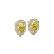 Pear shape canary yellow gemstone earrings, yellow gold falling edge halo setting.