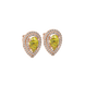 Close-up, pear shape canary yellow gemstone earrings, rose gold halo setting.