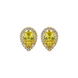 Pear shape canary yellow gemstone earrings, yellow gold french pavé halo setting.