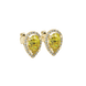 Close-up, pear shape canary yellow gemstone, yellow gold french pavé halo earrings.