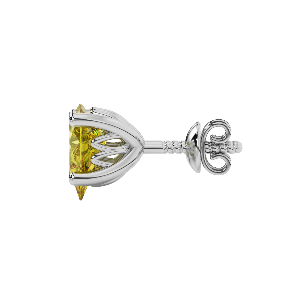 Side profile, white gold canary yellow earrings, lotus basket gallery.