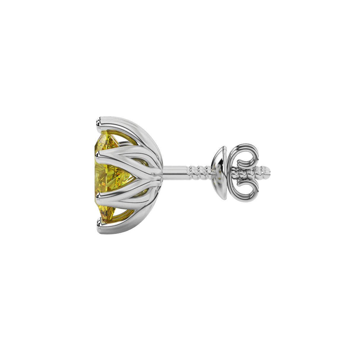 Side profile, white gold canary yellow earrings, scalloped six-prong gallery.
