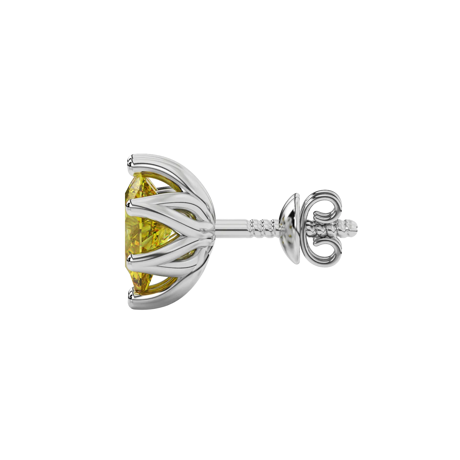 Side profile, white gold canary yellow earrings, scalloped six-prong gallery.