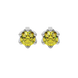 Round-cut canary yellow gemstone stud earrings in a white gold scalloped six-prong setting