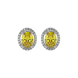 Oval cut canary yellow gemstone earrings, white gold french pavé halo setting.