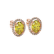 Close-up, oval cut canary yellow gemstone earrings, rose gold french pavé halo.