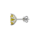 Side profile, white gold canary yellow earrings, scalloped six prong gallery.