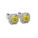 Asscher cut halo gemstone stud earrings in gold featuring 5.00 MM center gemstones surrounded by sparkling round diamond halos
