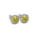 Yellow cushion cut gemstone stud earrings with double diamond halo in gold