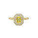 Emerald cut yellow gemstone double halo ring with octagonal diamond frame in gold