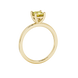 Side profile, yellow gold canary yellow ring, classic basket gallery.