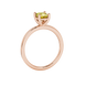 Side profile, rose gold canary yellow ring, classic basket gallery.