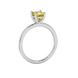 Side profile, white gold canary yellow ring, classic basket gallery.
