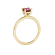 Side profile, yellow gold raspberry red ring, classic basket gallery.