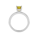 Princess canary yellow gemstone ring, white gold classic basket setting.