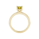 Princess canary yellow gemstone ring, yellow gold classic basket setting.