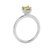 Side profile, white gold canary yellow ring, pavé basket gallery.