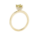 Side profile, yellow gold canary yellow ring, pavé basket gallery.