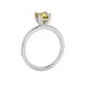 Side profile, white gold canary yellow ring, vintage basket gallery.