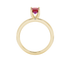 Emerald cut red gemstone solitaire ring with modern double shank design