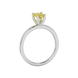 Side profile, white gold canary yellow ring, four-prong gallery.