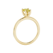 Side profile, yellow gold canary yellow ring, four-prong gallery.