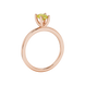 Side profile, rose gold canary yellow ring, four-prong gallery.