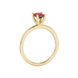 Side profile, yellow gold raspberry red ring, four-prong gallery.
