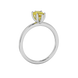 Side profile, white gold canary yellow ring, six-prong gallery.