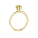 Side profile, yellow gold canary yellow ring, six-prong gallery.
