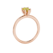 Side profile, rose gold canary yellow ring, six-prong gallery.