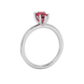 Side profile, white gold raspberry red ring, six-prong gallery.