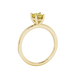 Side profile, yellow gold canary yellow ring, classic basket gallery.