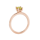 Side profile, rose gold canary yellow ring, classic basket gallery.