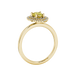 Side profile, yellow gold canary yellow ring, falling edge halo gallery.