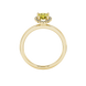 Pear shape canary yellow gemstone ring, yellow gold french pavé halo setting.