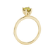 Side profile, yellow gold canary yellow ring, lotus basket gallery.